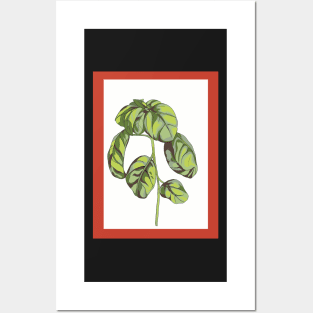 Basil spaghetti kitchen wall art Posters and Art